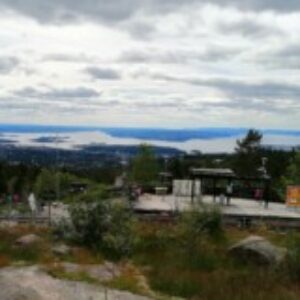 vigo profilio nuotrauka